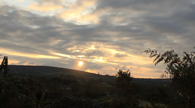 Carleen sunset