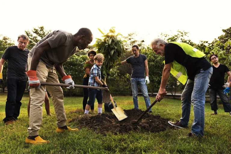A group of peole planting a tree