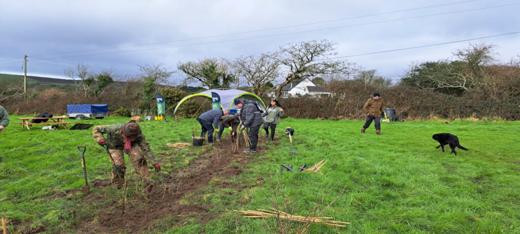 Tree Planting Event image 2