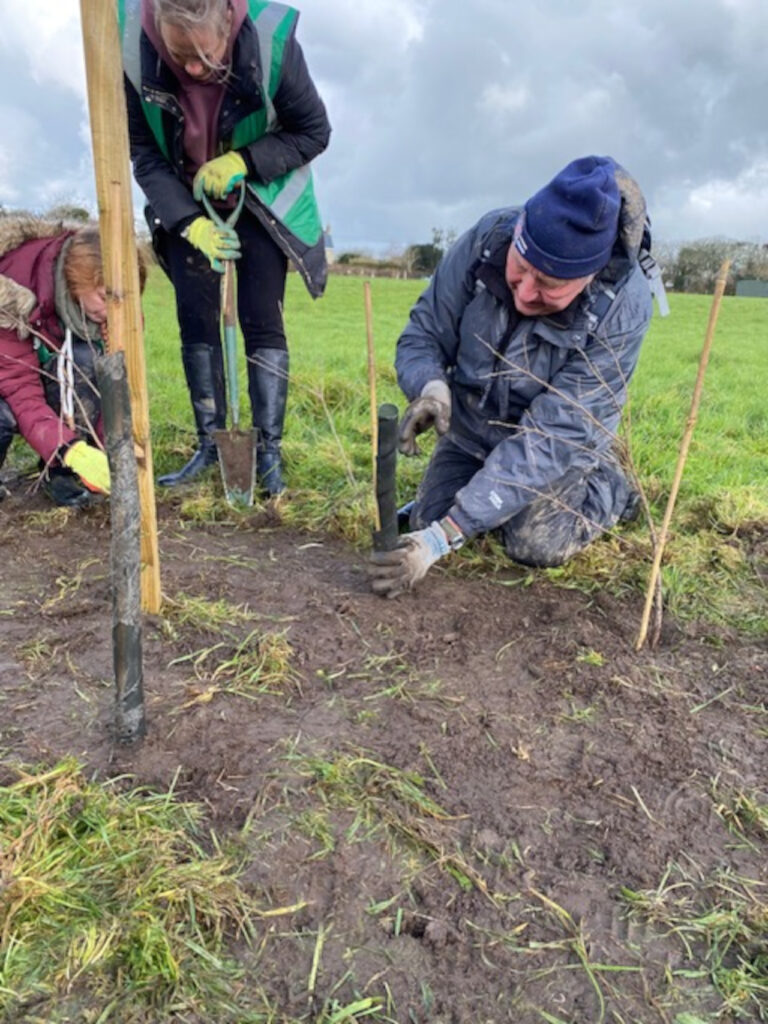 Tree Planting Event Photo