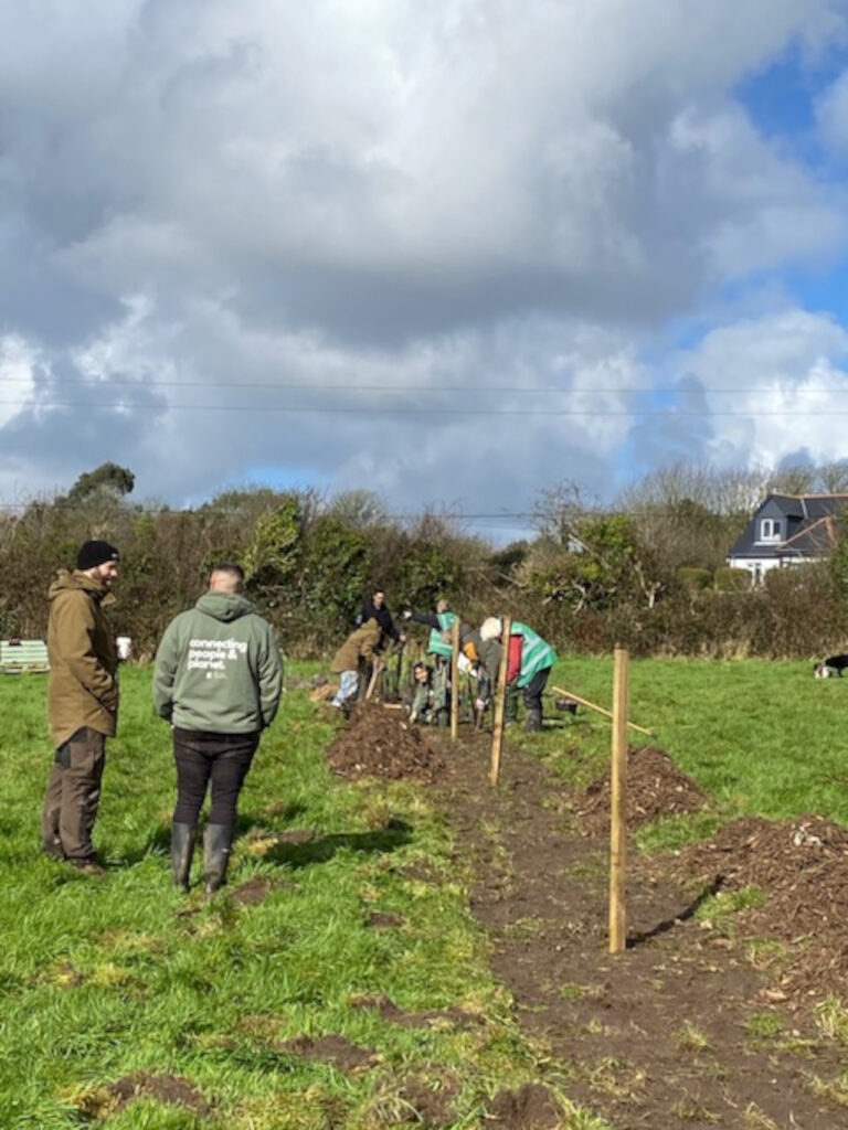 Tree Planting Event Photo