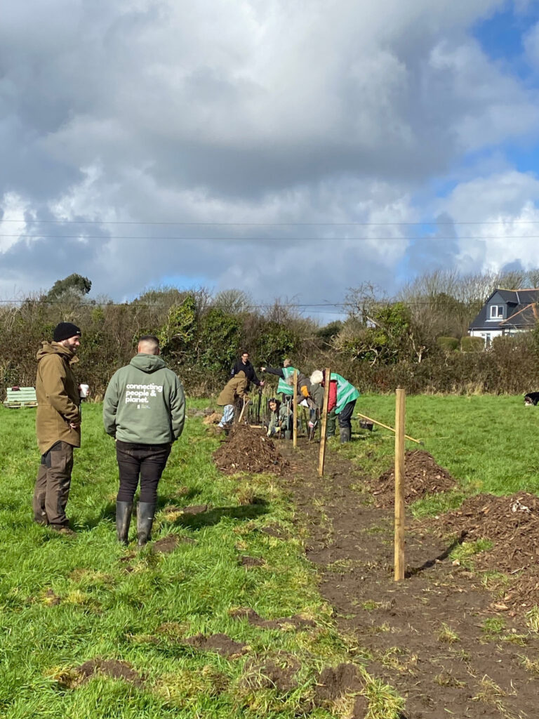 Tree Planting Event Photo
