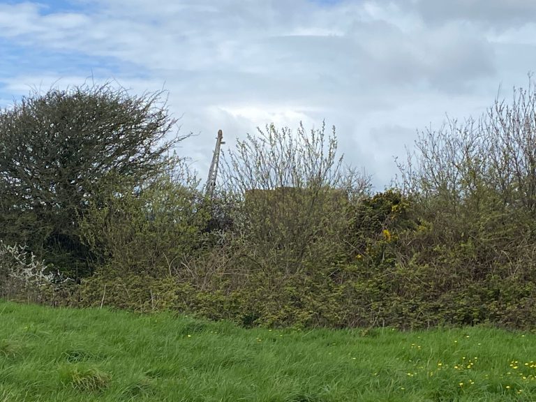 drill rig near Trew during Phase 3