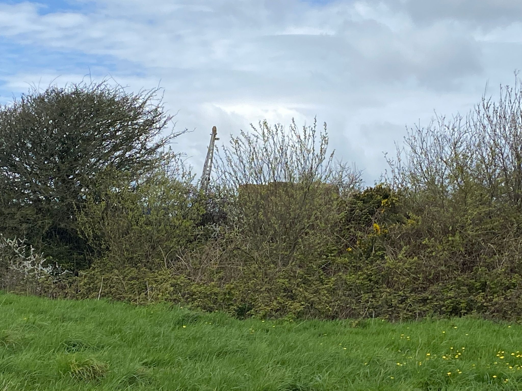 drill rig near Trew during Phase 3