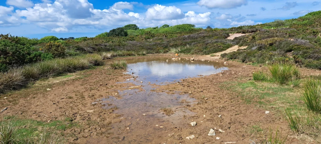 Tom Gatehouse Galler Picture 7 Pond on Carnmeal Downs