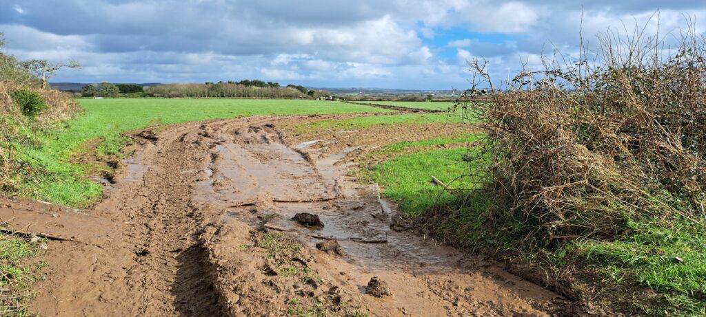 Muddy Track at one of the phase three sites