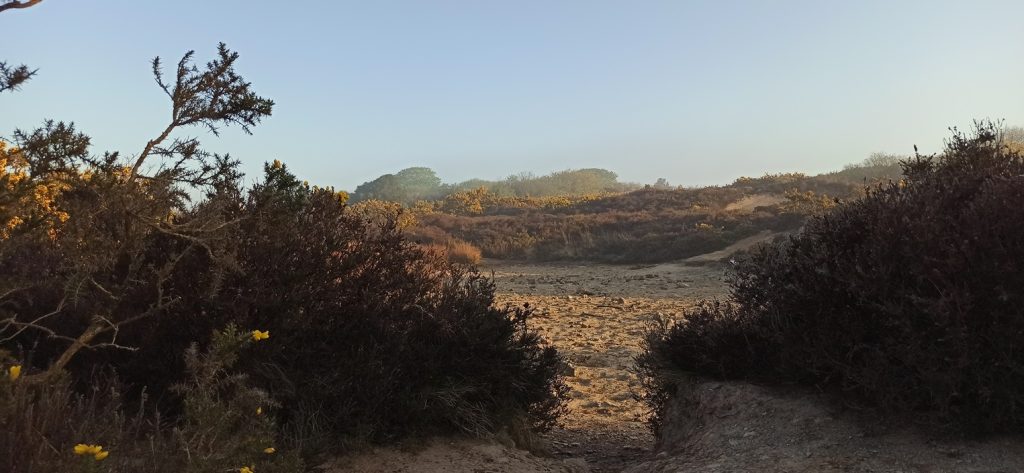 A misty morning on Carnmeal Downs