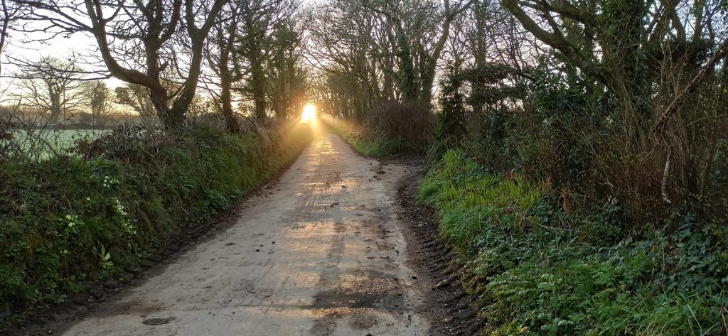 A Local Country Lane