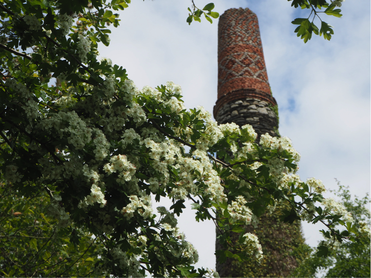 An old mine chimney near Carnmeal Downs with Blackthorn
