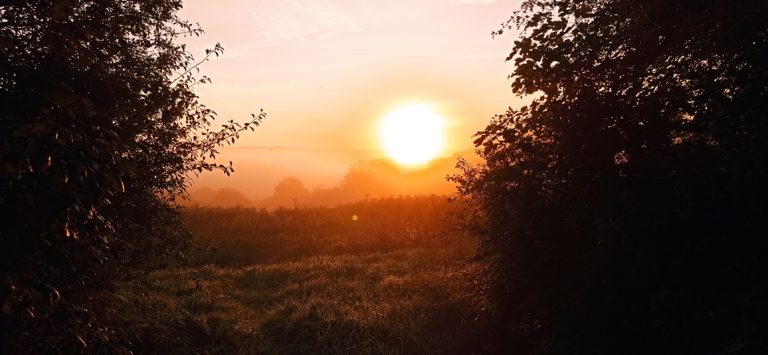 September News Header Image