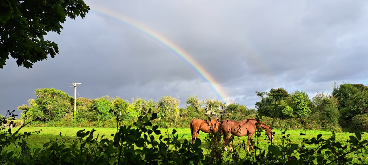 rainbow over horses