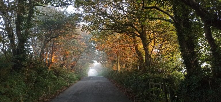 Autumn/Winter 2025 Newsletter